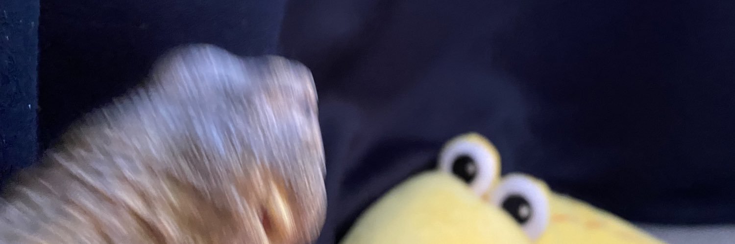 ねこ(Neko)と3匹と's banner