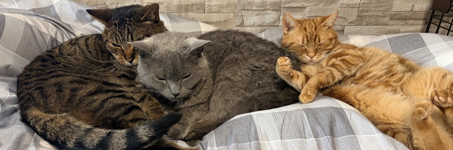 ねこちあ's banner