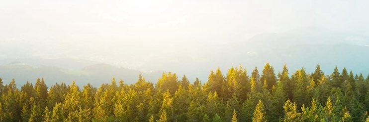Stocktrader's banner