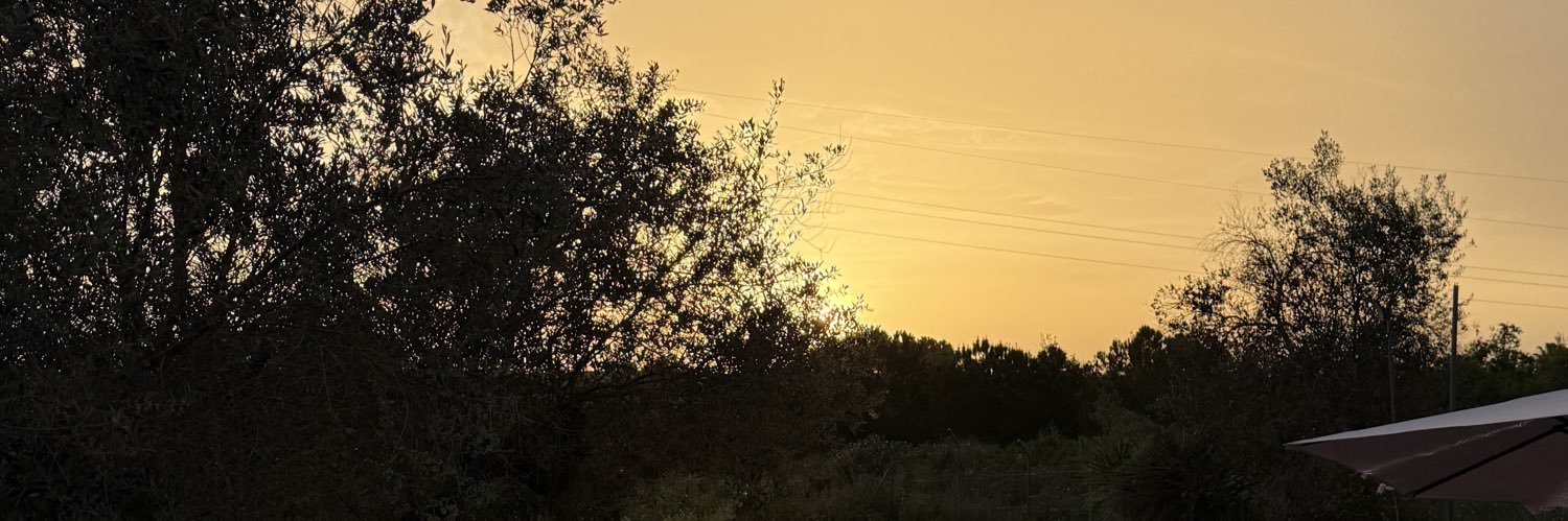 gema's banner