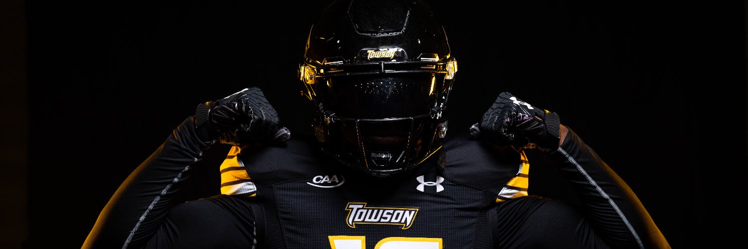 Towson Football's banner