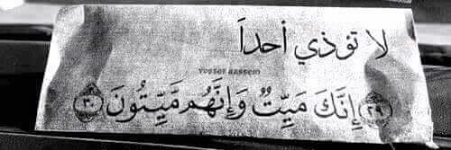 ٺڦﯟۥۍ🎎's banner