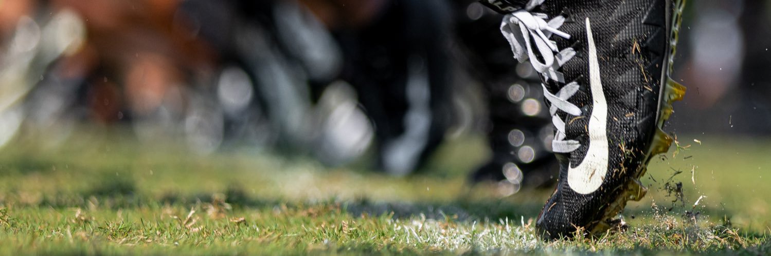 Georgia Football's banner