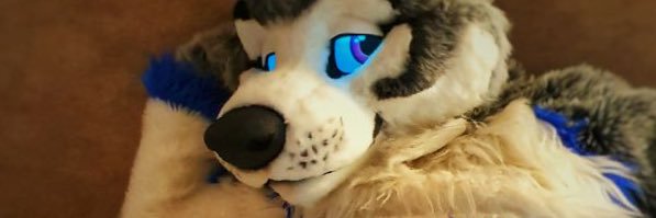 Dirty Paws's banner