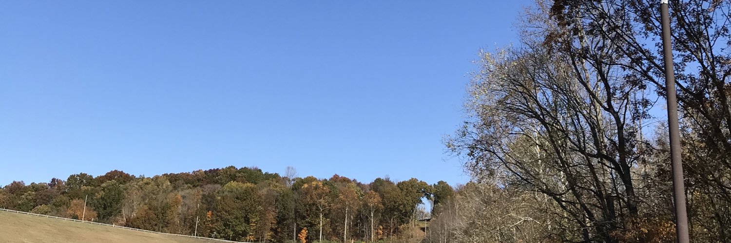 Lily Hankins's banner