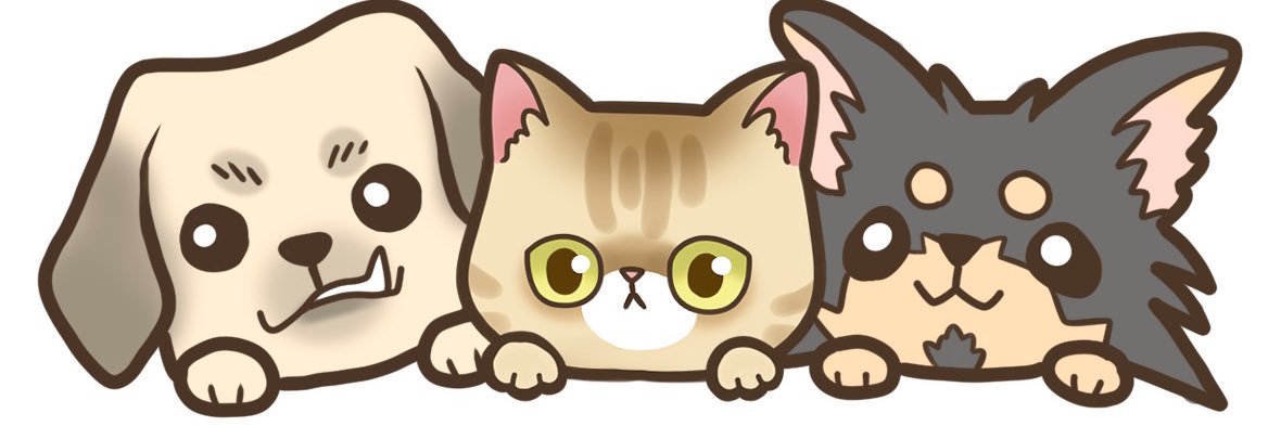 服部彩香🐶🐶🐱's banner