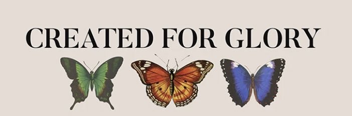 Sie✨'s banner