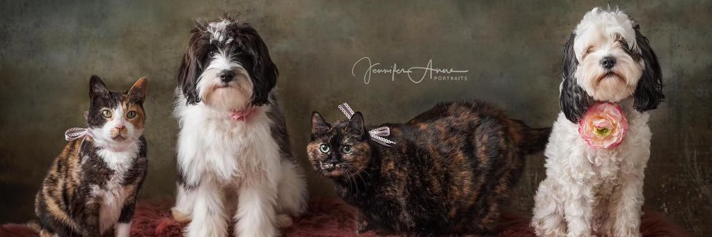 Leslie Sage 🏳️‍🌈's banner