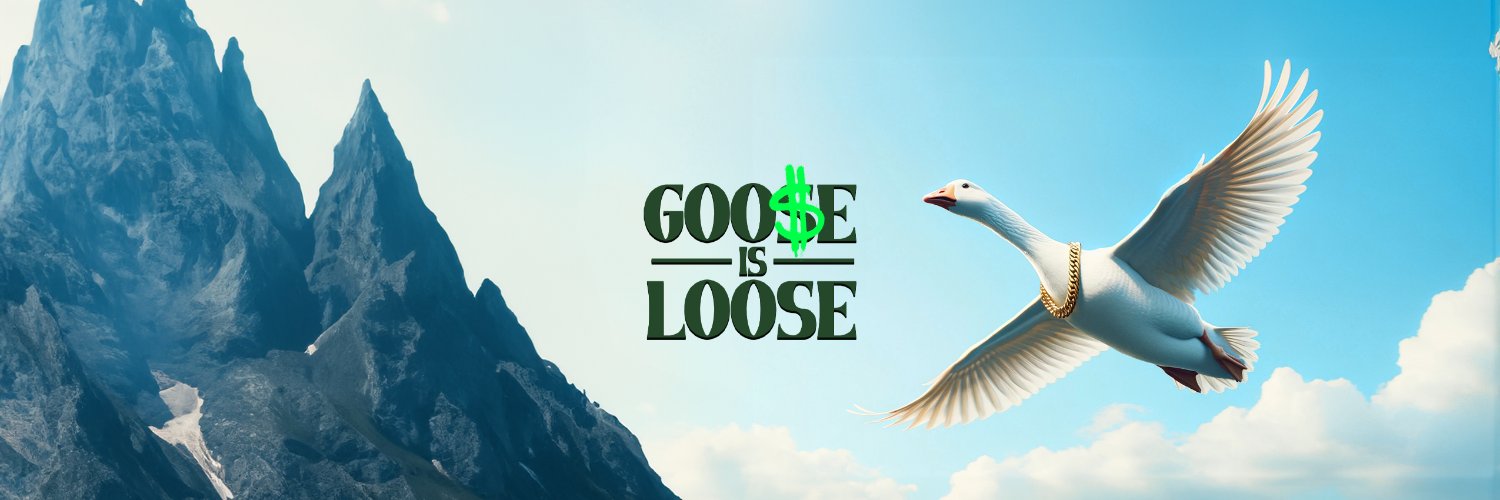 GooseIsLoose🪿's banner