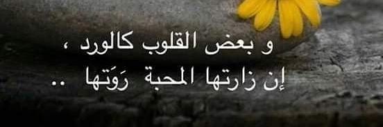 مغترب's banner