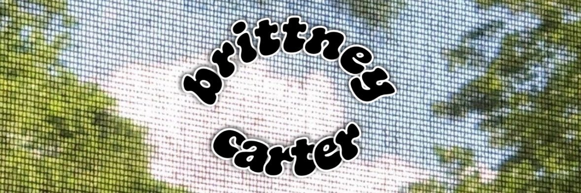 Brittney Carter's banner