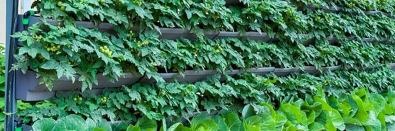 Ministry of Agriculture & Animal Resources |Rwanda's banner