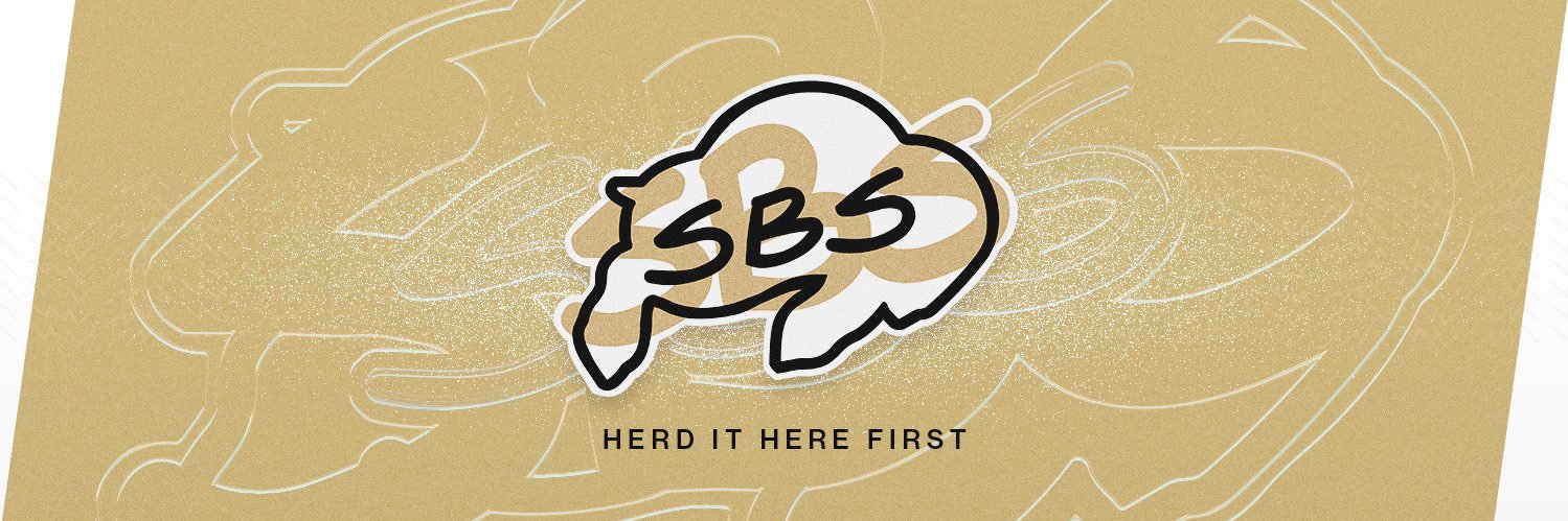 Sko Buffs Sports's banner