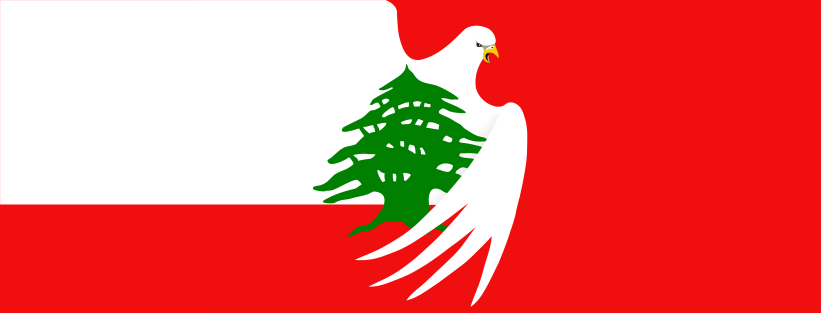 Dany A. Khalek's banner