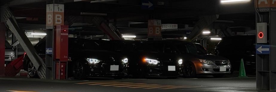 ｶｷﾋﾟﾖ🦭's banner