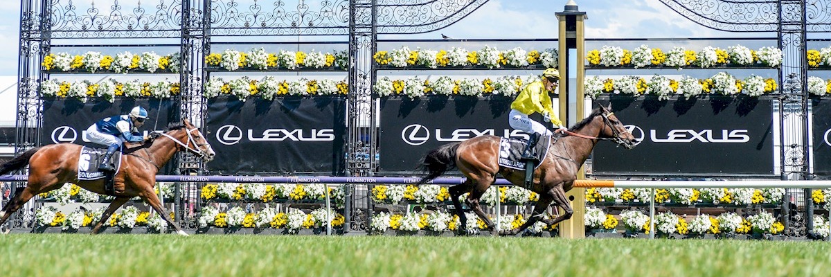 Anthony & Sam Freedman Racing's banner