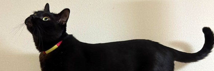 黒猫ジジさん's banner
