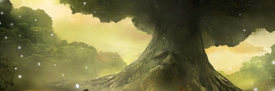 Mitch Jones's banner