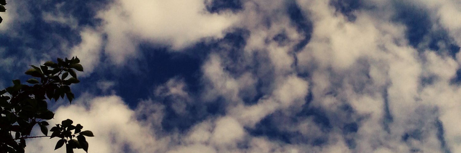hqrno(春乃) 🍥気圧の変化に敗北中's banner