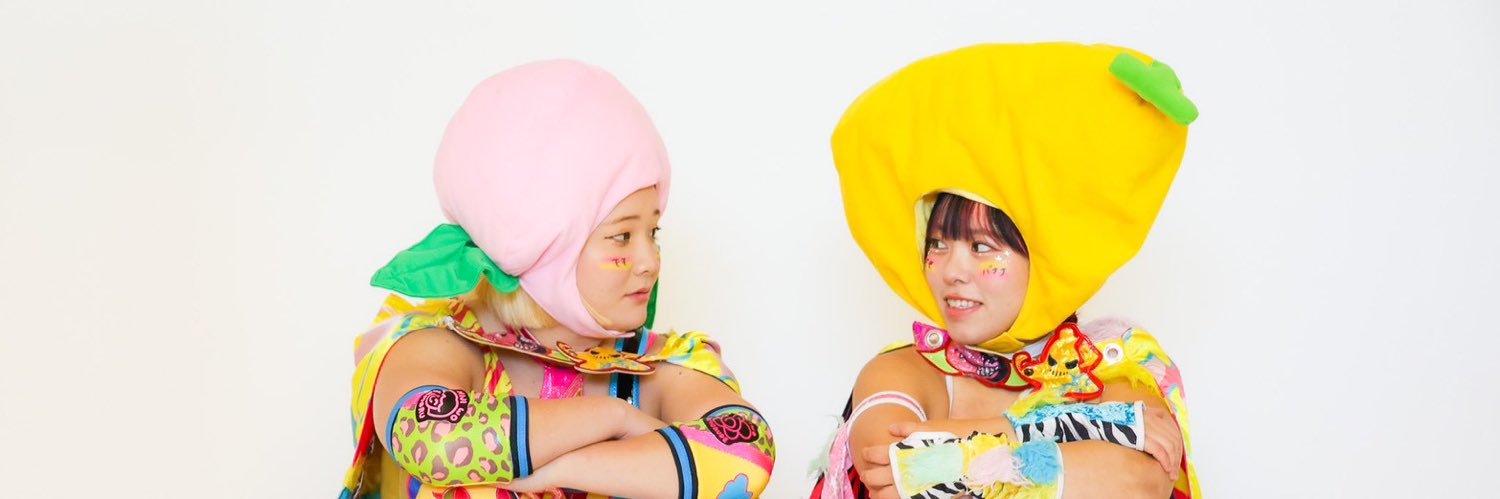 桃野美桜mio momono｜女子プロレスラー's banner