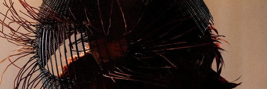 lady gaga supreme's banner