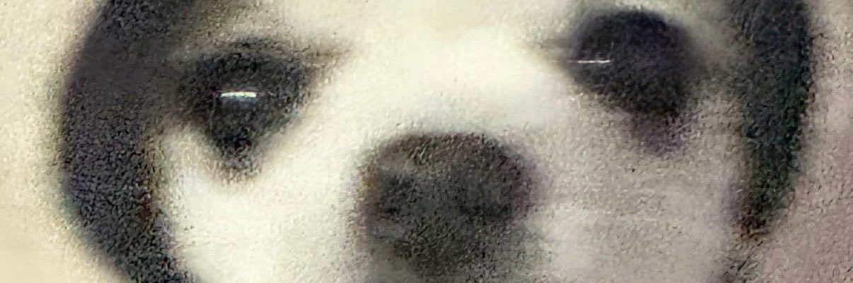 황황's banner