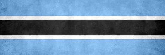 Dr. Mokgweetsi E.K Masisi's banner