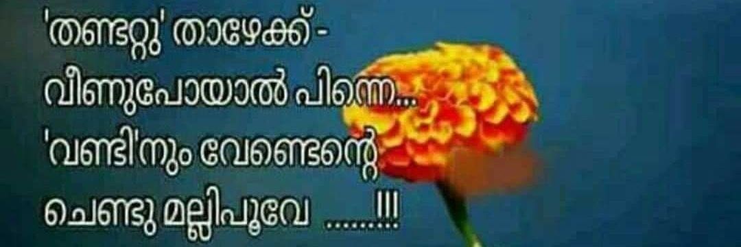 ഒരു tg രസികൻ ♥️'s banner