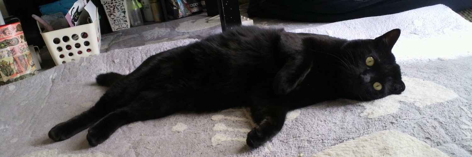 黒猫はじめました。's banner