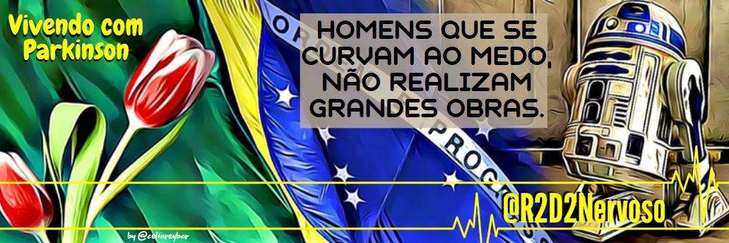 🌄 R2 Nervoso ∴ 🌿🇧🇷 🇮🇹's banner