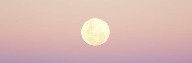 幽谷 美月's banner