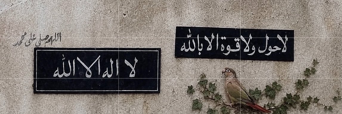 Reį⋆°✩'s banner