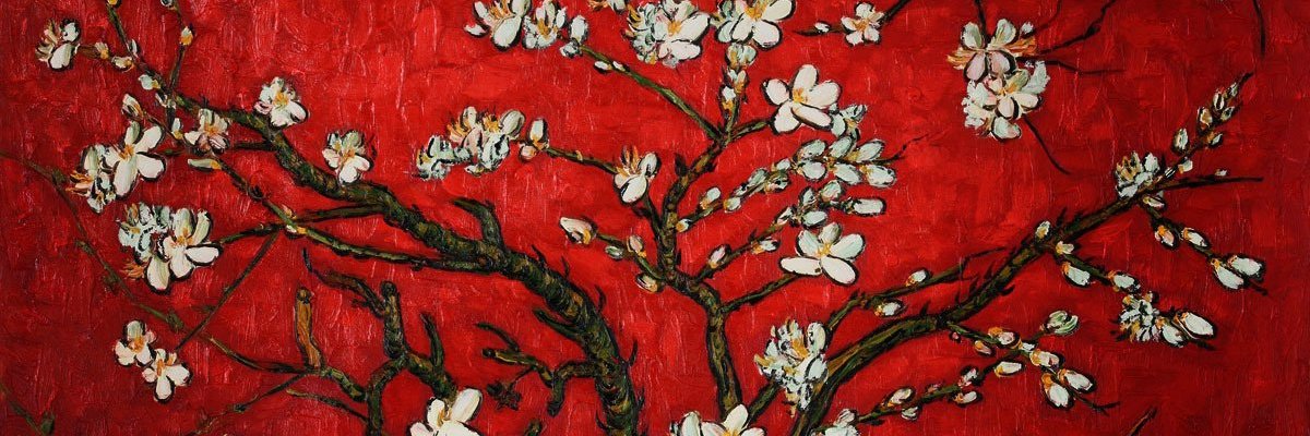 侅扉's banner