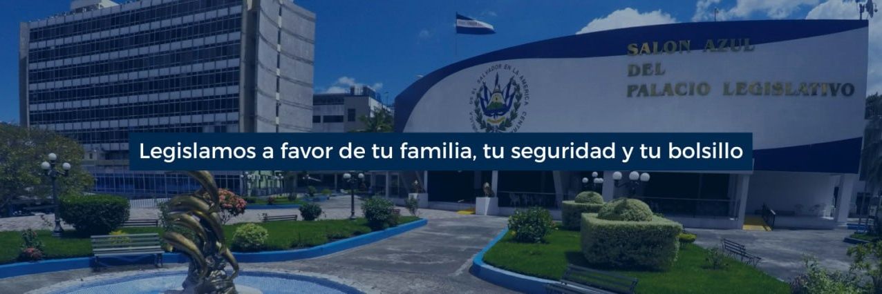 Grupo Parlamentario ARENA's banner
