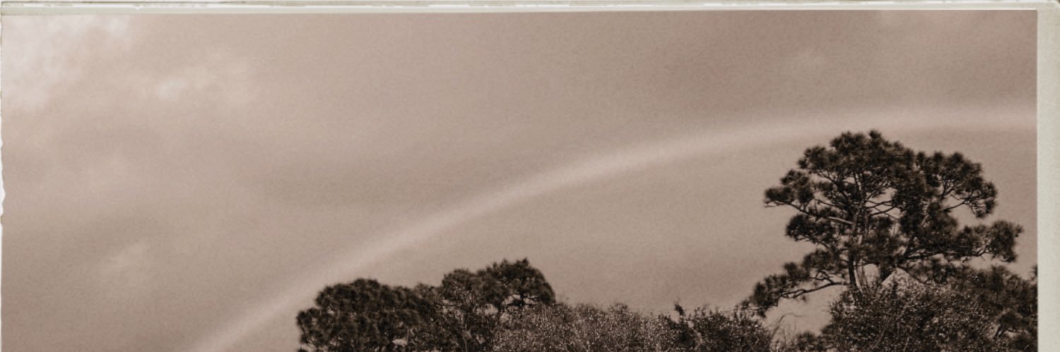 日曜日の団欒✿'s banner