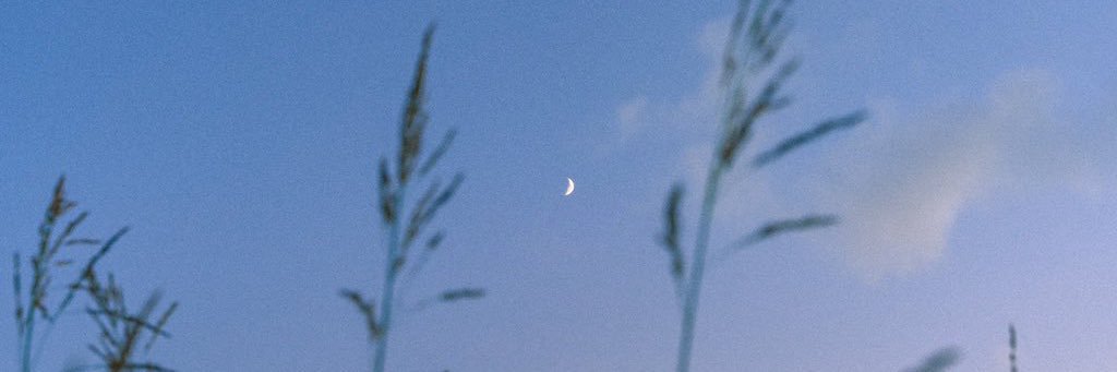 슈.🤍's banner