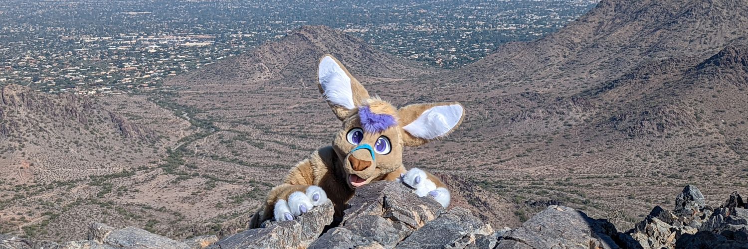 🩹☀️🌵Bandaid Roo!🌵☀️🩹➡️TFF, LVFC's banner