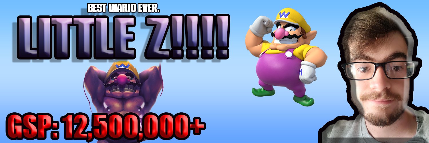Little Z's banner