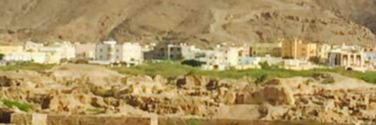 يحيى شغاث's banner
