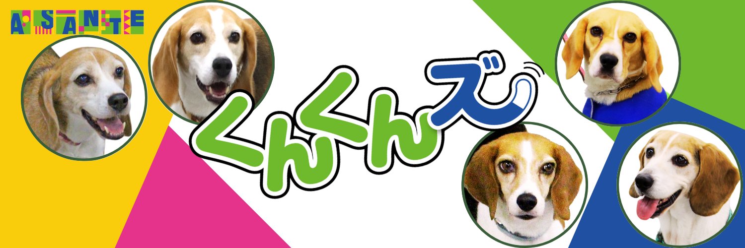 シロアリ探知犬ノア@アサンテ【公式】's banner