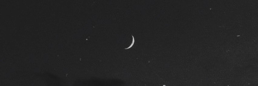 sus ✧₊⁺'s banner