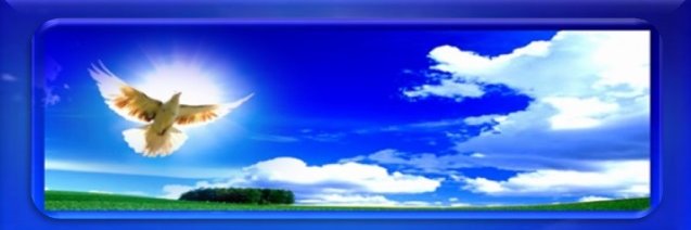 مرضي عبدالله's banner