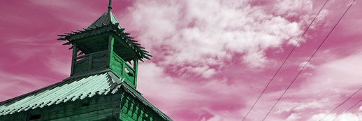 Toka 🏯 Shogun's banner