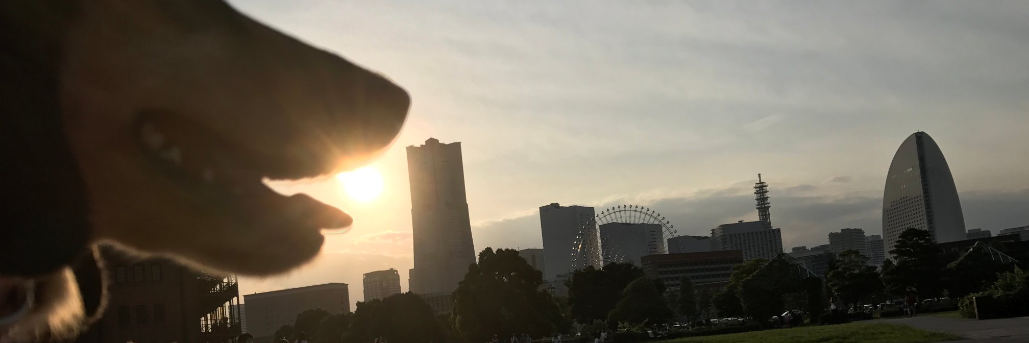 Shuhei Hori（こまち🐶の飼い主）'s banner