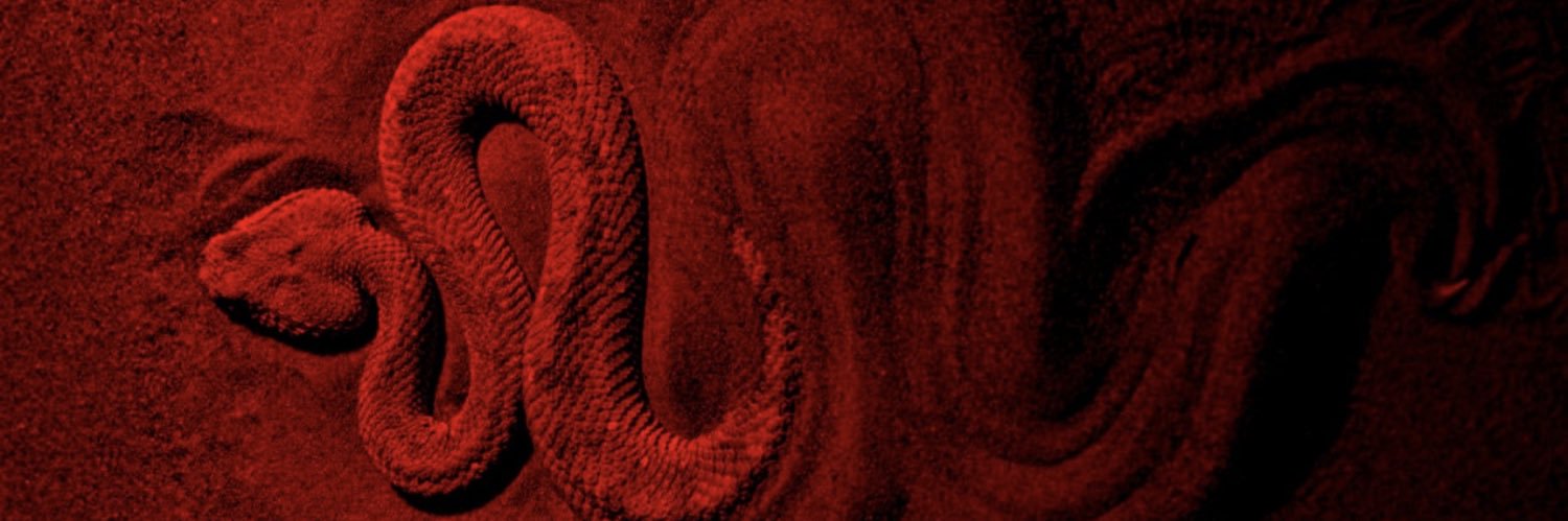🪬Ice's banner