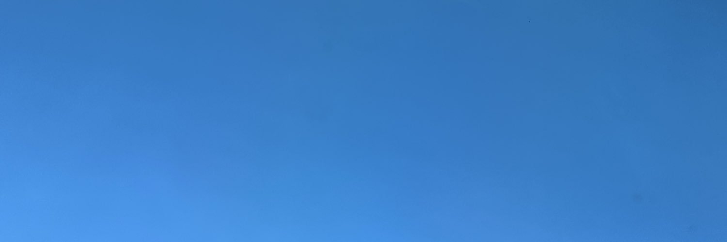 sara's banner
