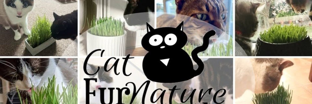 Cat FurNature's banner