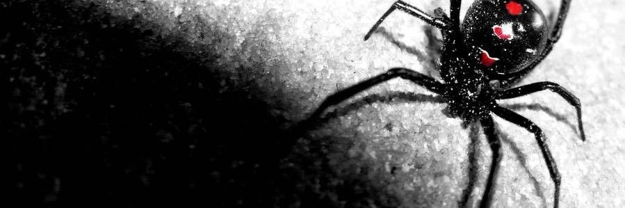 lafamosaojitos🧚🏽‍♀️'s banner