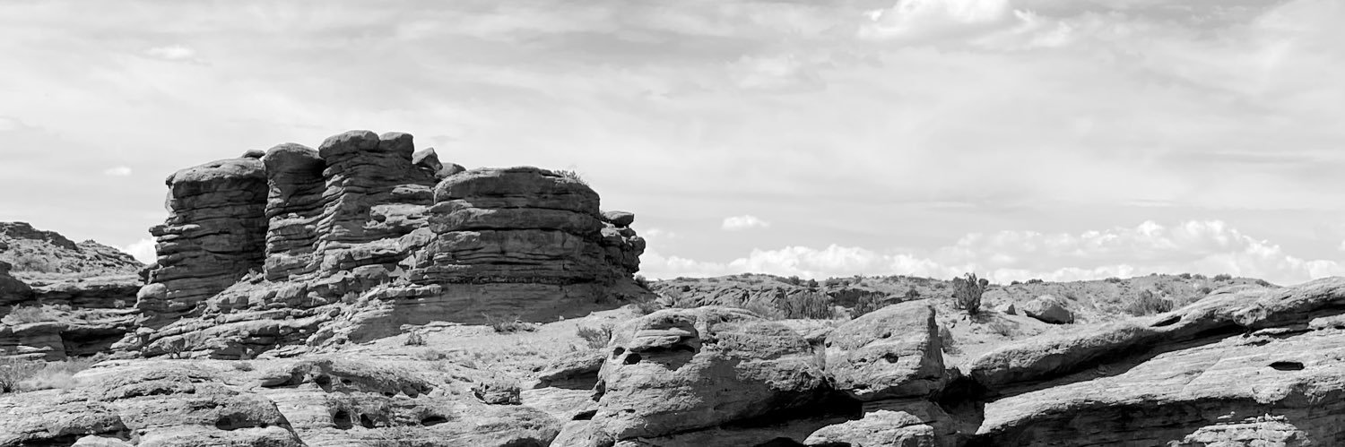 🏜915Education …Edu In The Chihuahua Desert 🌵🐉's banner