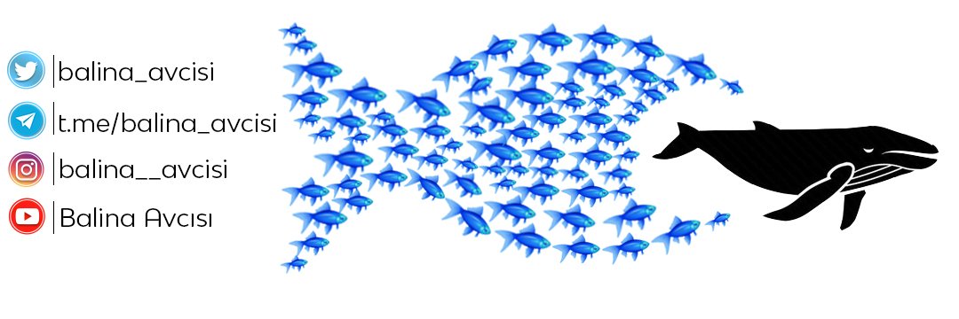 Balina Avcısı's banner